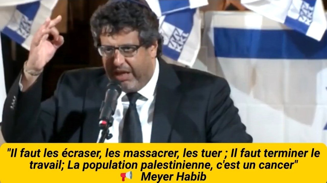 Targui🌴 tweet media