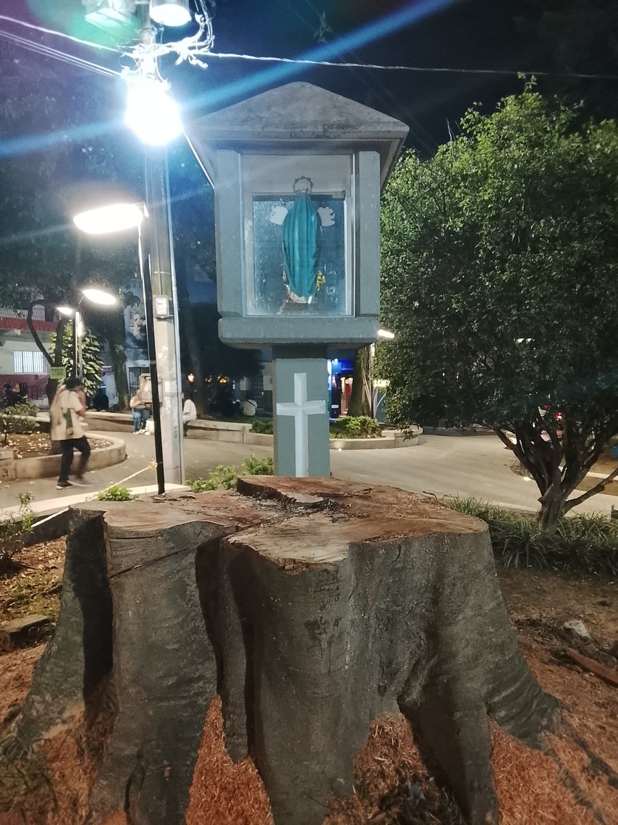 °•\‘~’/orlando\•°•/ tweet media