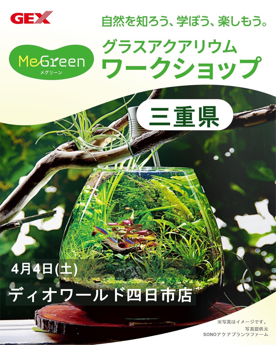 GEX ジェックス tweet media