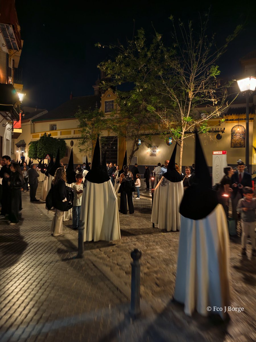 Cíngulo y Esparto tweet media