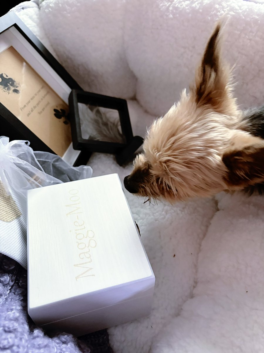 Sandra the Hag 𐕣 tweet media