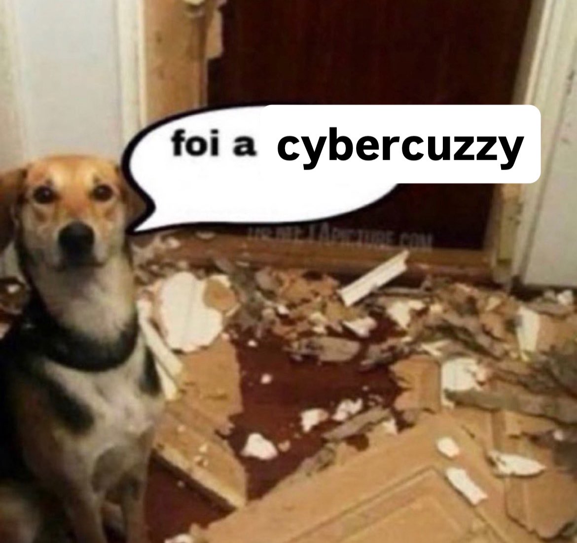 jOtAVê. tweet media