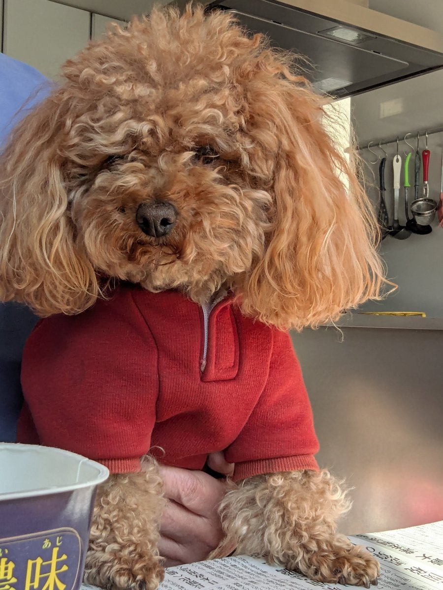 名無し三等兵🐧🍊™️ tweet media