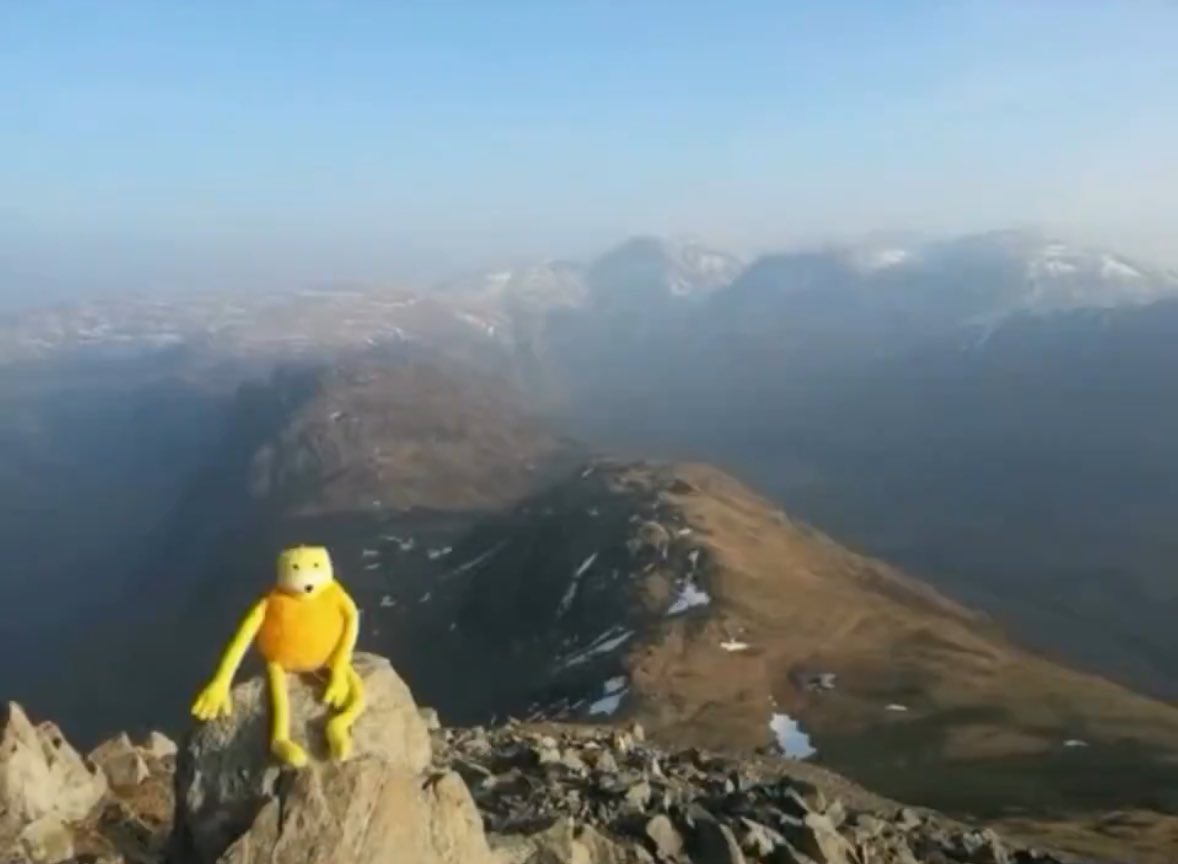 ⋆˙⟡ paige 🎱 tweet media