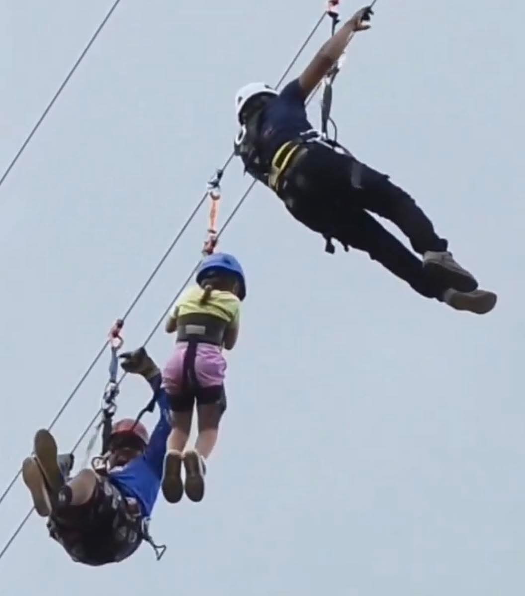 Alerta Noticias tweet media