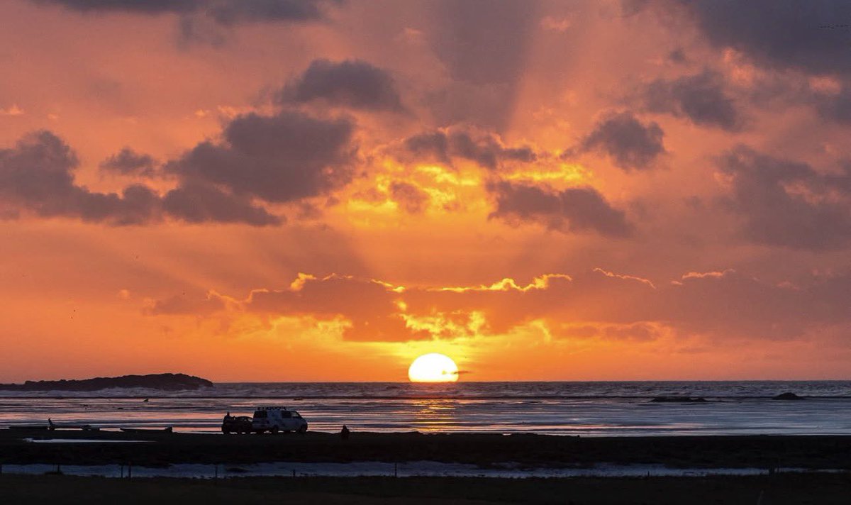 DD❤️/🕊️/DOGE tweet media