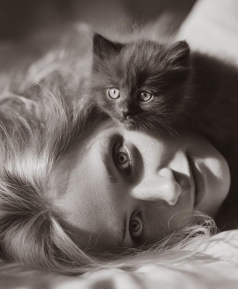 Susie🌊🎶🤎🥀✨🦋⚔️🩸🇺🇸 tweet media