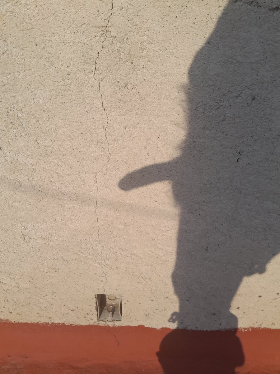 Who doesn't like to take a little sun in the afternoon? 
.
.
.
.
 #puppyPlay #humanpup #nsfw #fetish #kinky #lewd #gay #pup