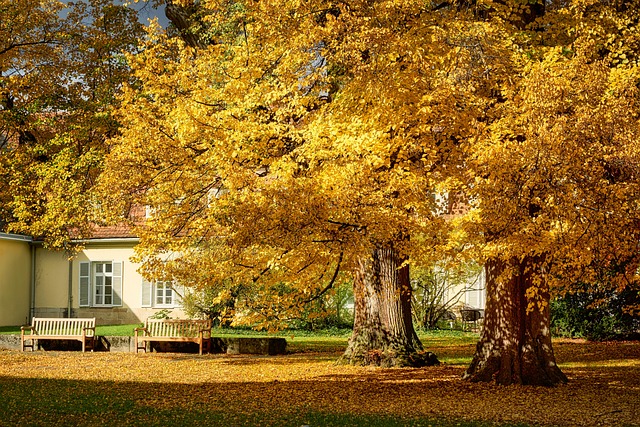 Vernon Hampton tweet media