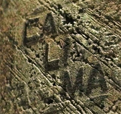 Bitman 🥇 tweet media