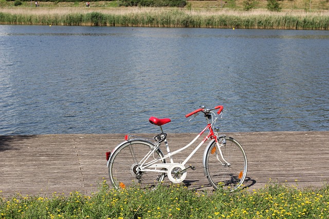 Travis Hughes tweet media