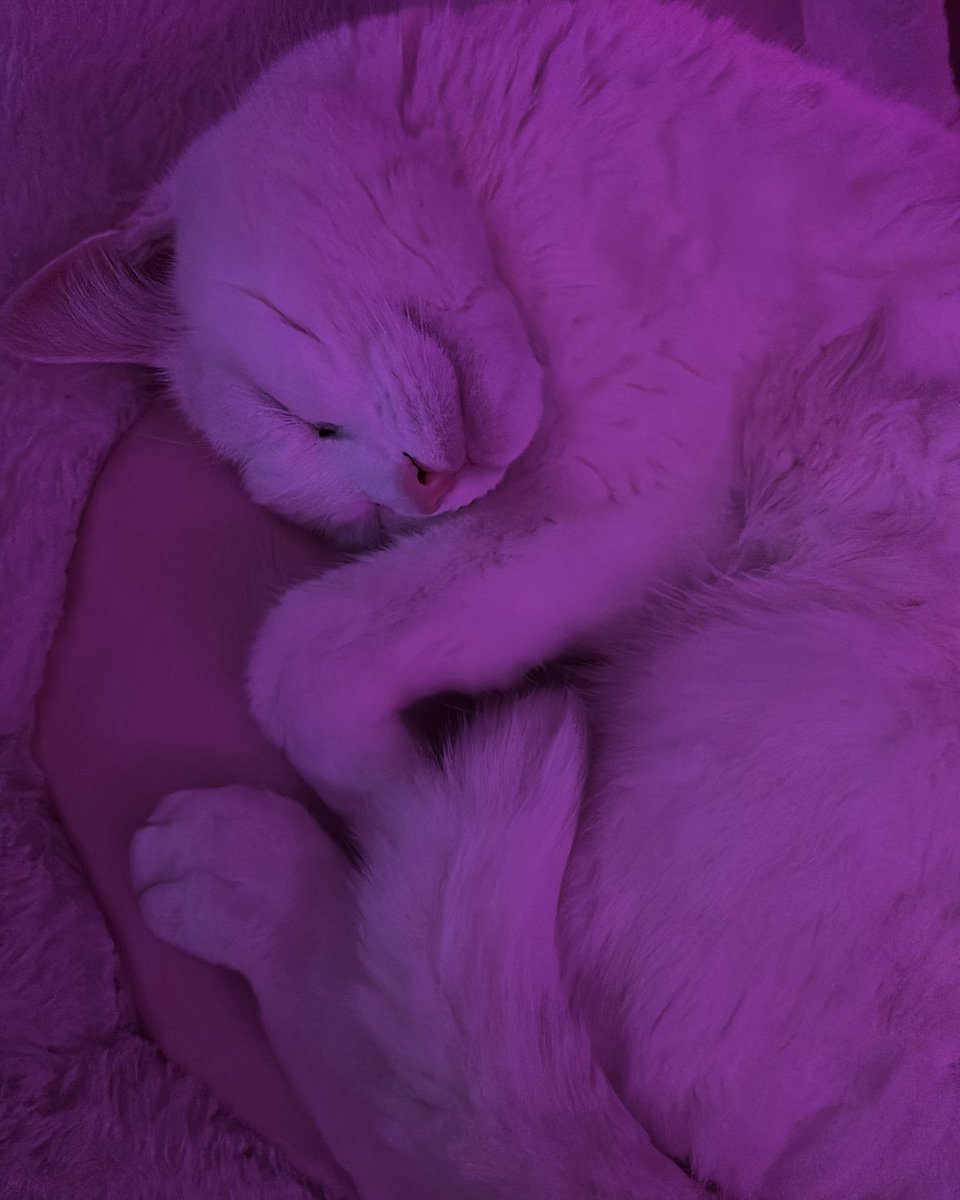 Fiona ♡ tweet media