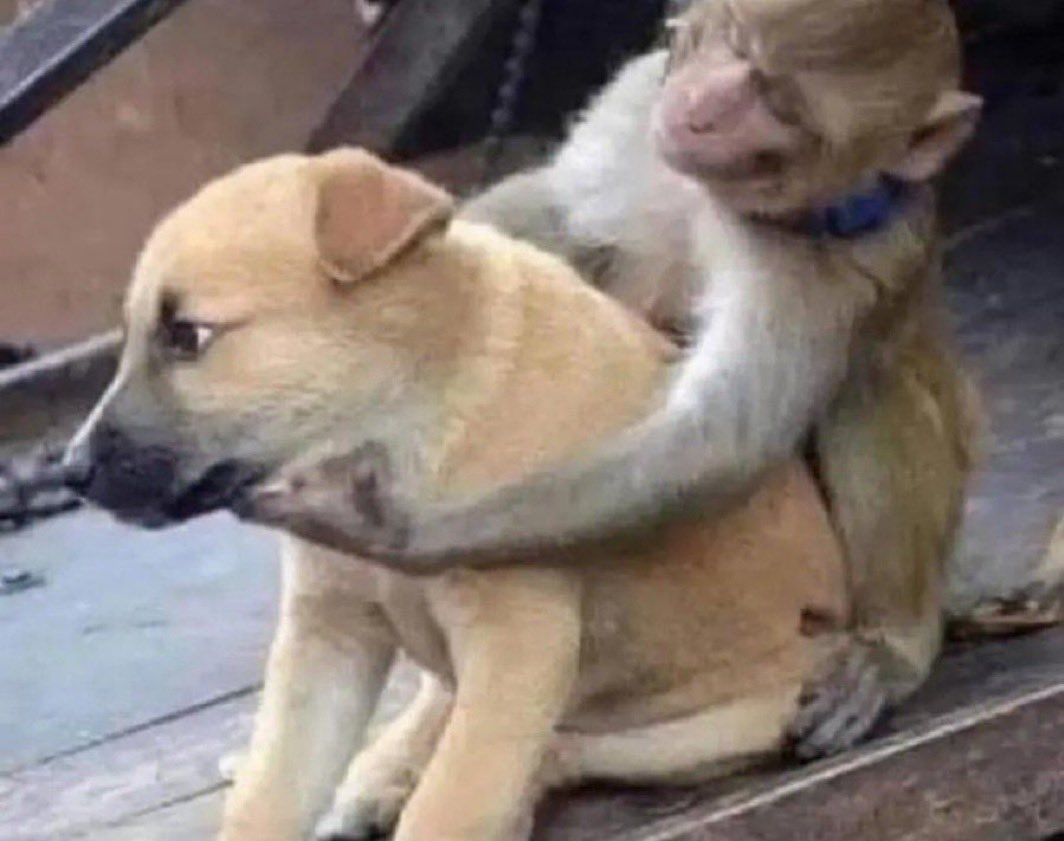 Tesla. Ug 🇺🇬 tweet media