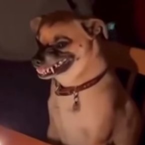 Peter Kinuthia tweet media