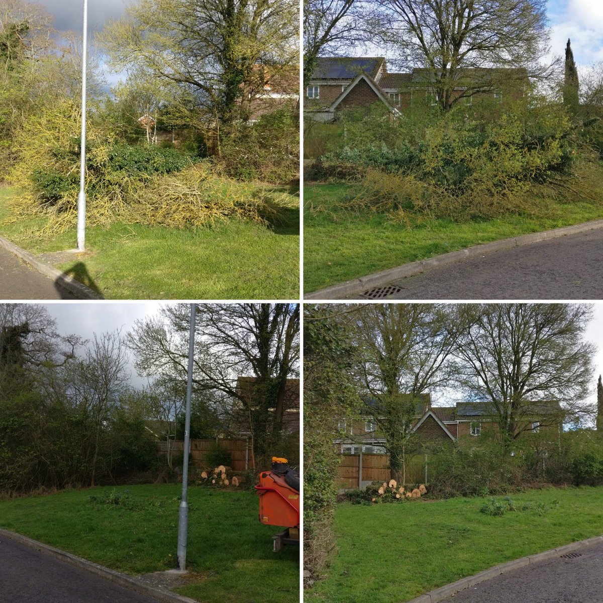 Masons Tree Surgery tweet media