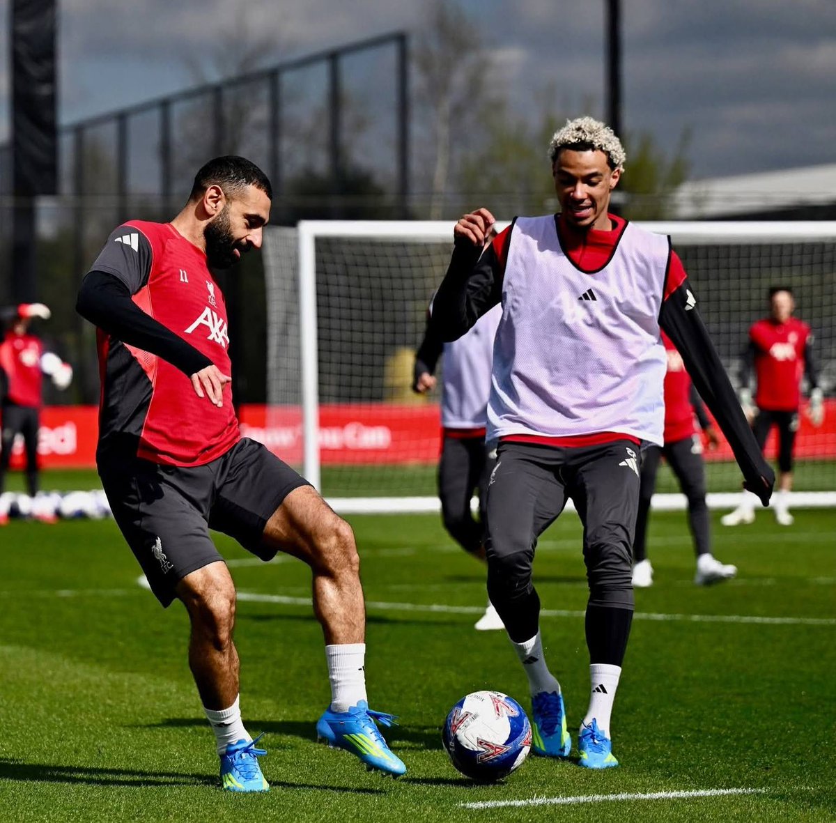 الأهرام AlAhram tweet media