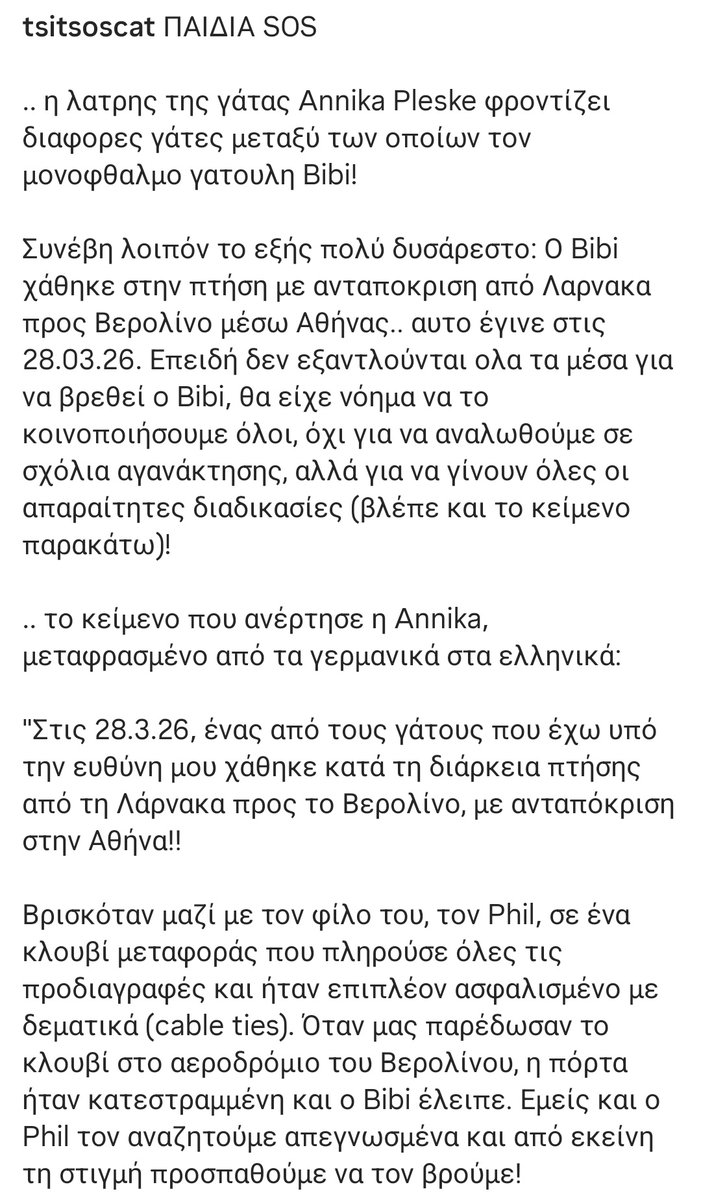 lily ant tweet media