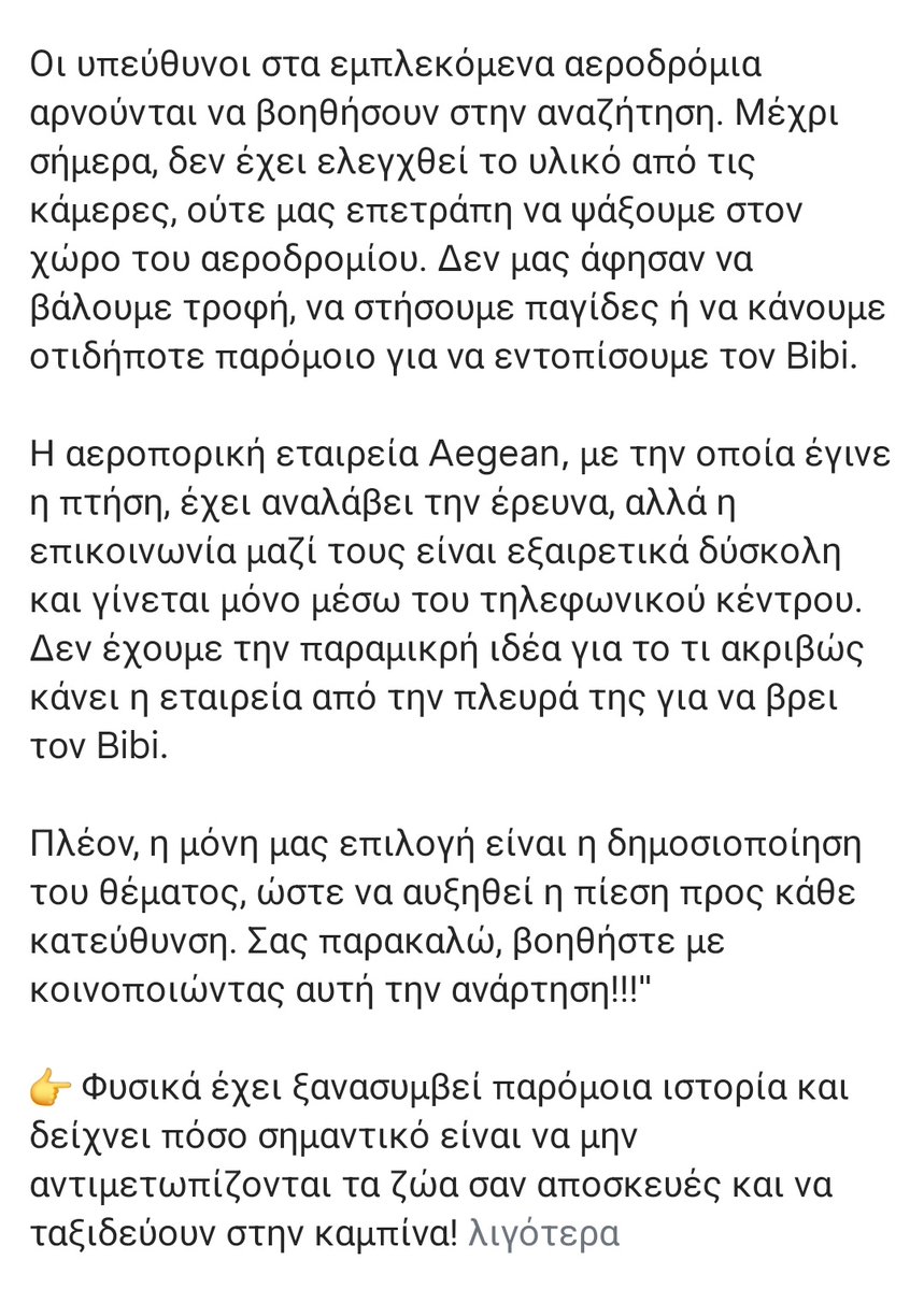 lily ant tweet media