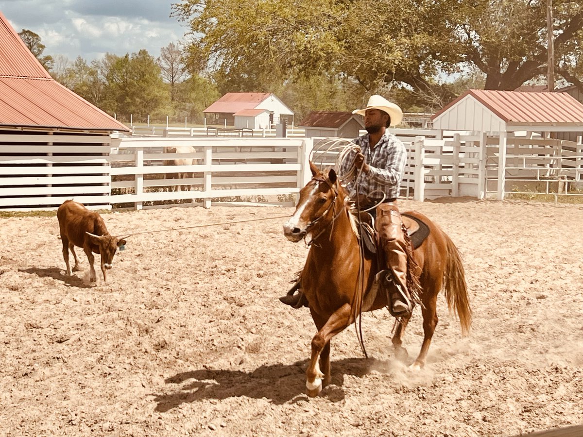 Rosehill Christian School tweet media