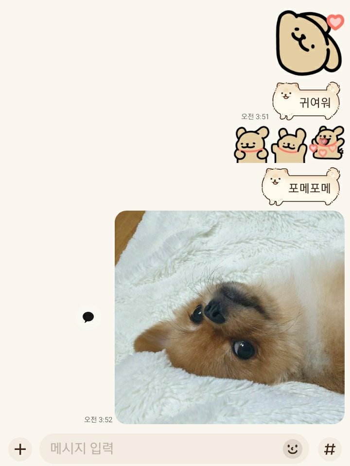 mayo🐥 tweet media