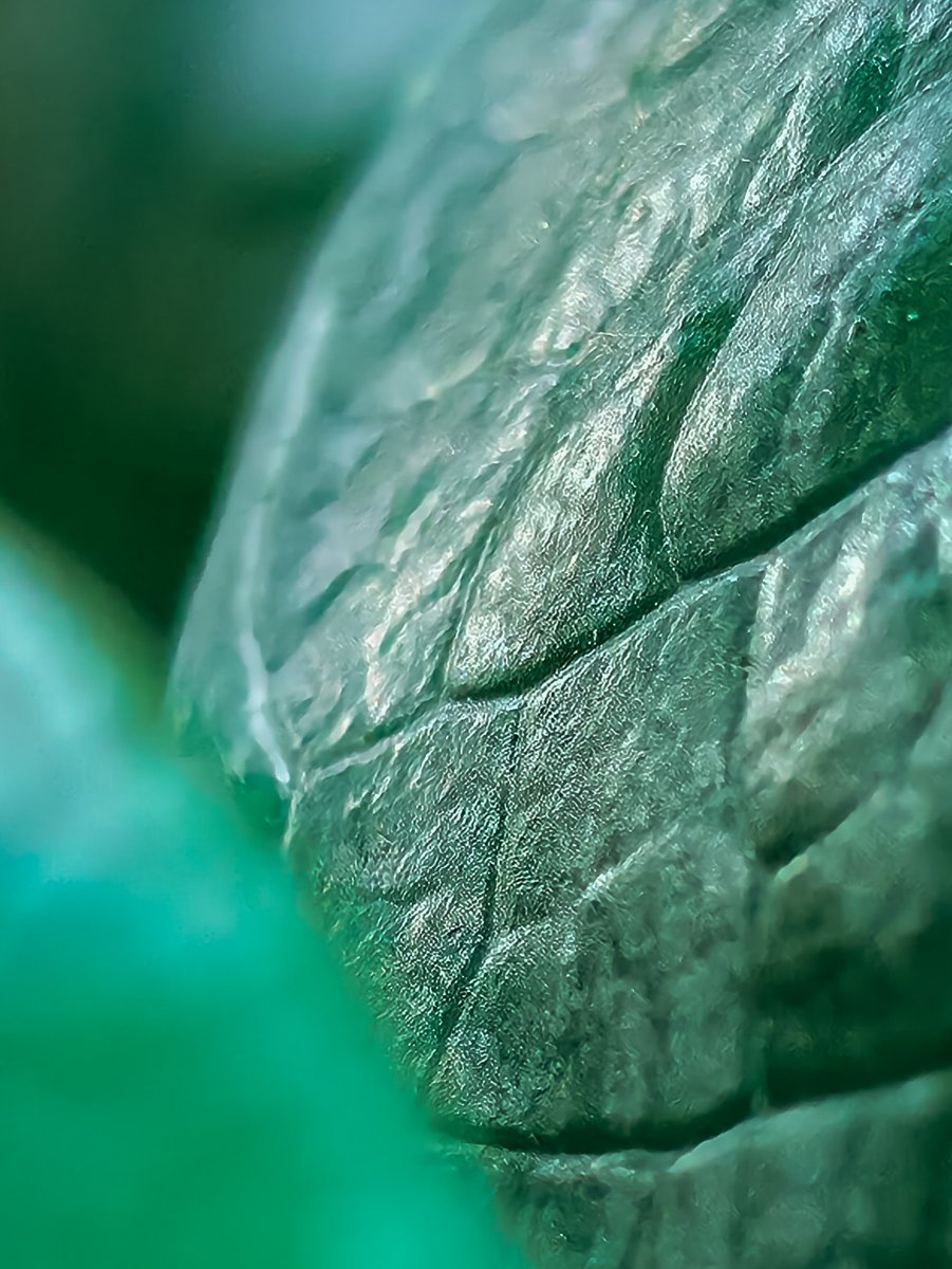 Samsung Brasil tweet media