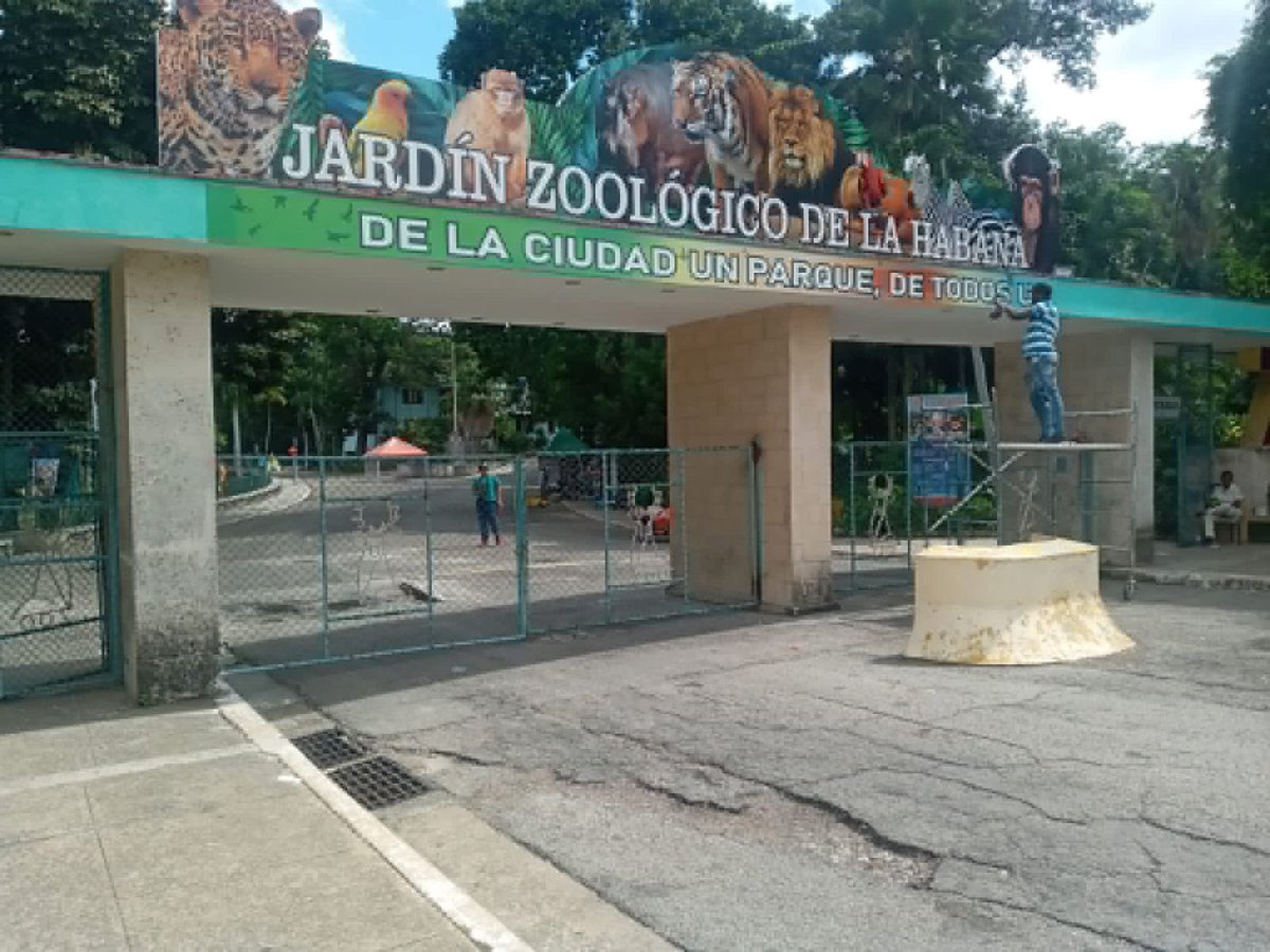 Sandra Segovia. Todos Somos Animales sí también tú tweet media