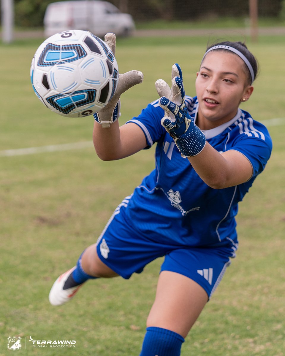 MFC Academia tweet media