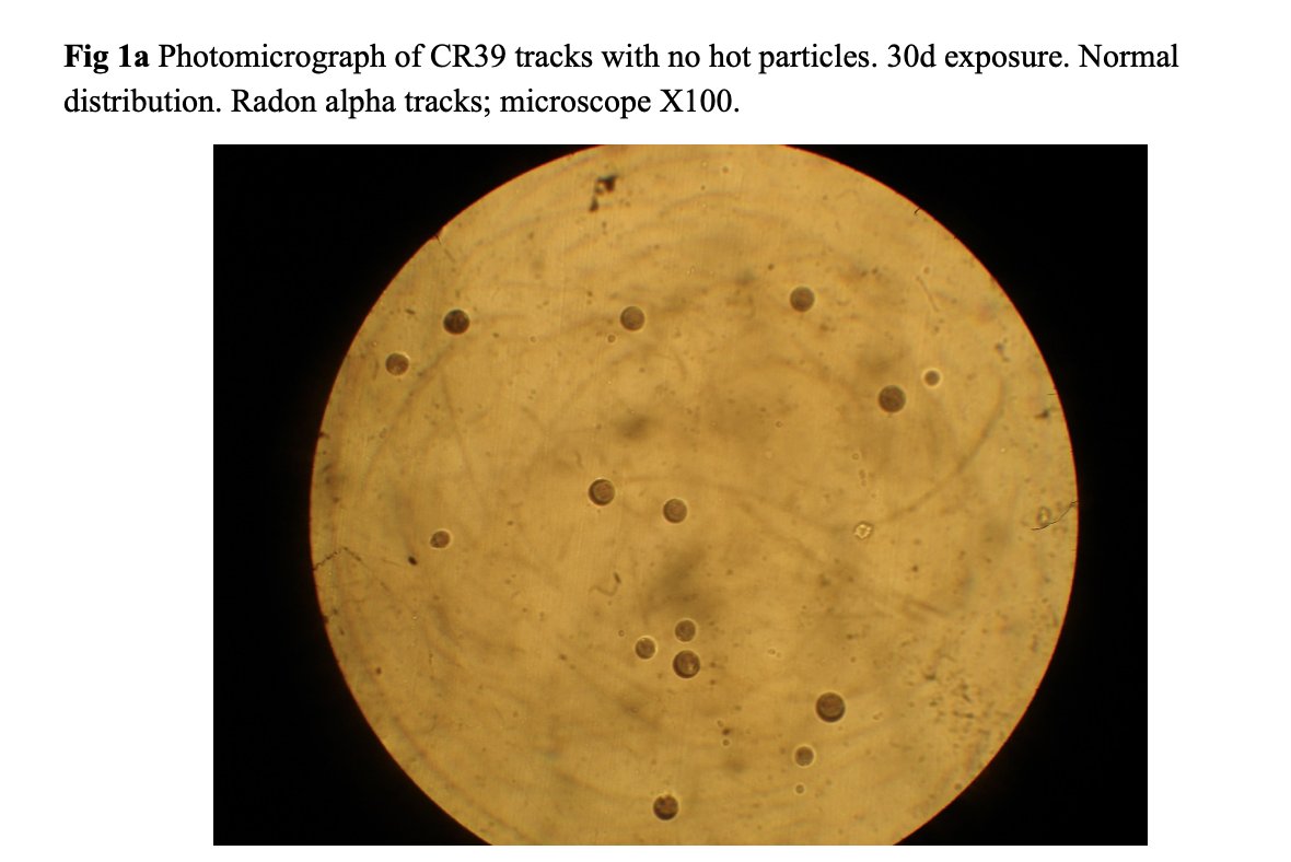 Korobochka (コロボ) 🇦🇺✝️ tweet media