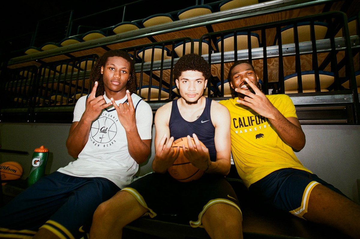Cal Basketball tweet media