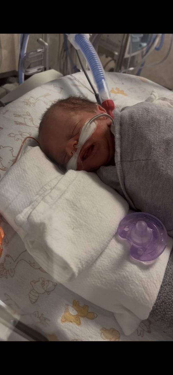 Justin Weiland tweet media