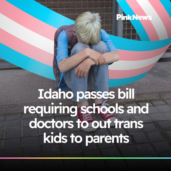 PinkNews tweet media