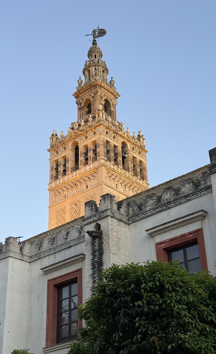 La Giralda una tarde de Jueves Santo
#SSantaSevilla26