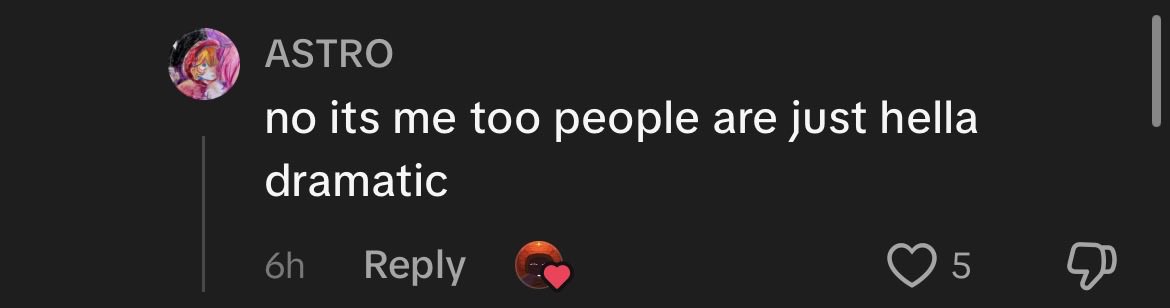 Kairopaws tweet media