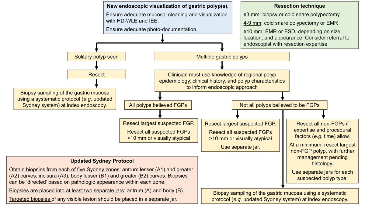 American Gastroenterological Association (AGA) tweet media