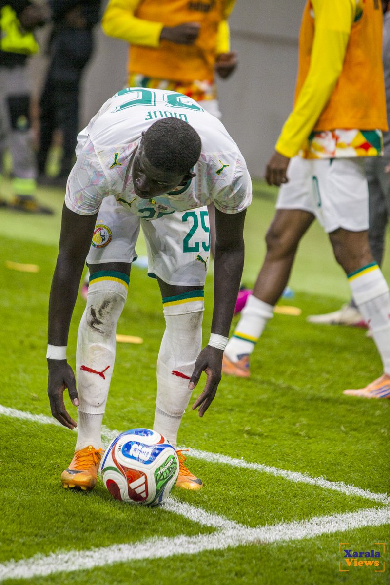 Xarala Views tweet media