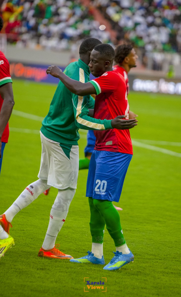 Xarala Views tweet media