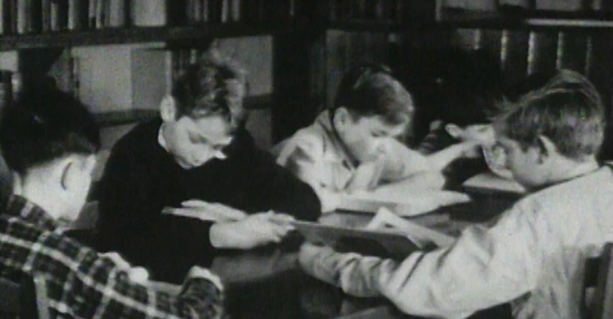 Fintan O'Mahony tweet media