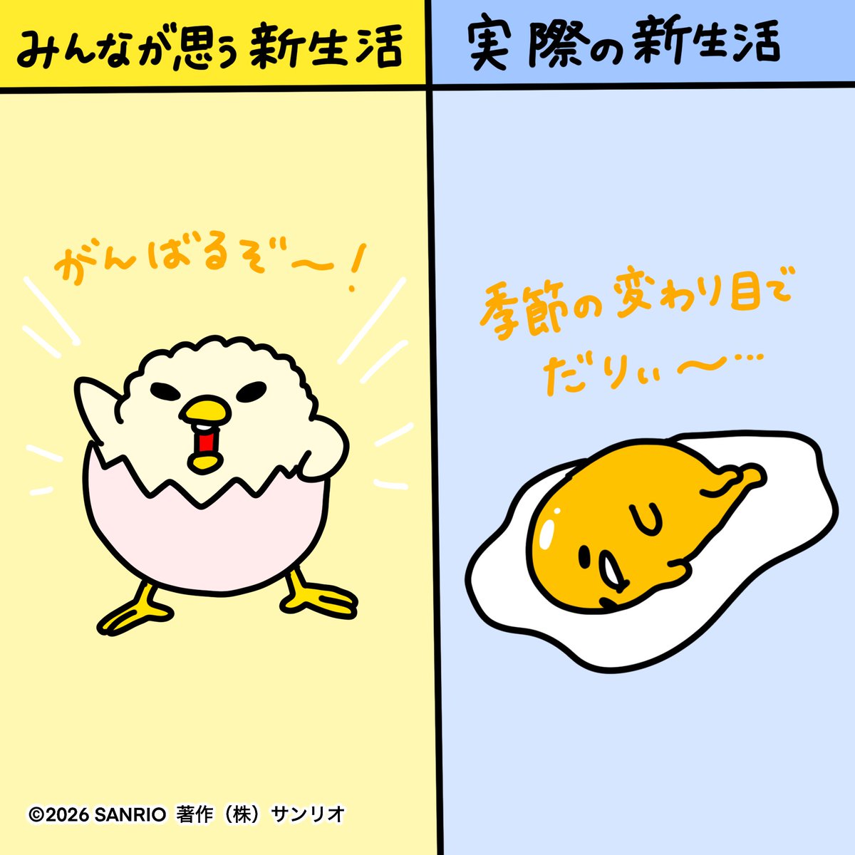 ぐでたま【公式】🍥🕙 tweet media