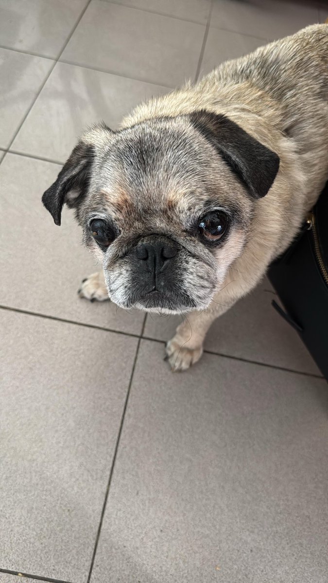 Nic 🐻 tweet media