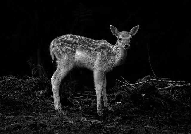 Janine Reed tweet media