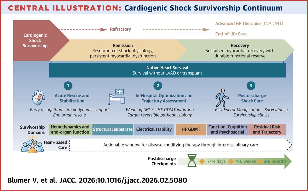 hfcollaboratory's tweet image. Now in @JACCJournals – a cardiogenic shock survivorship continuum led by #HFC members @vbluml 

This work proposes a novel three-phase framework, spanning acute stabilization, in-hospital assessment and optimization, and postdischarge care.
jacc.org/doi/10.1016/j.…