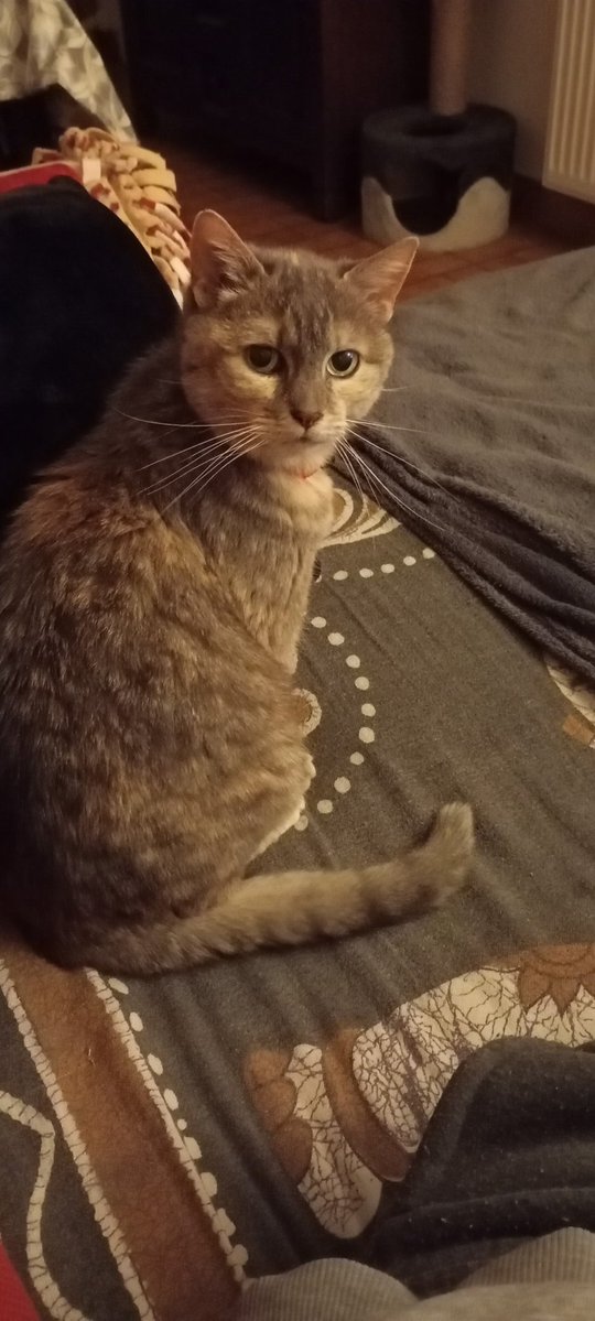 Mika17 ✨♎ tweet media