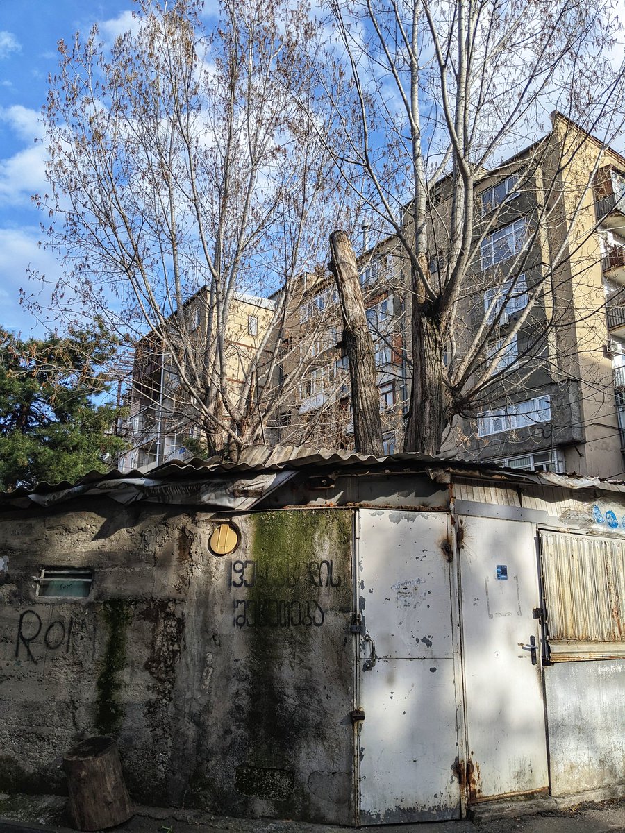 Georgia Pictures 🇺🇦 tweet media