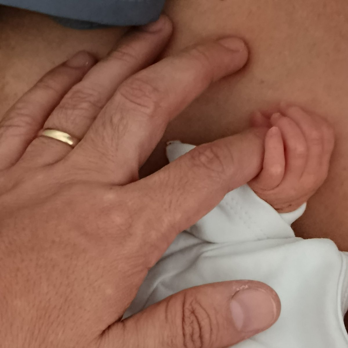 Victor Román tweet media