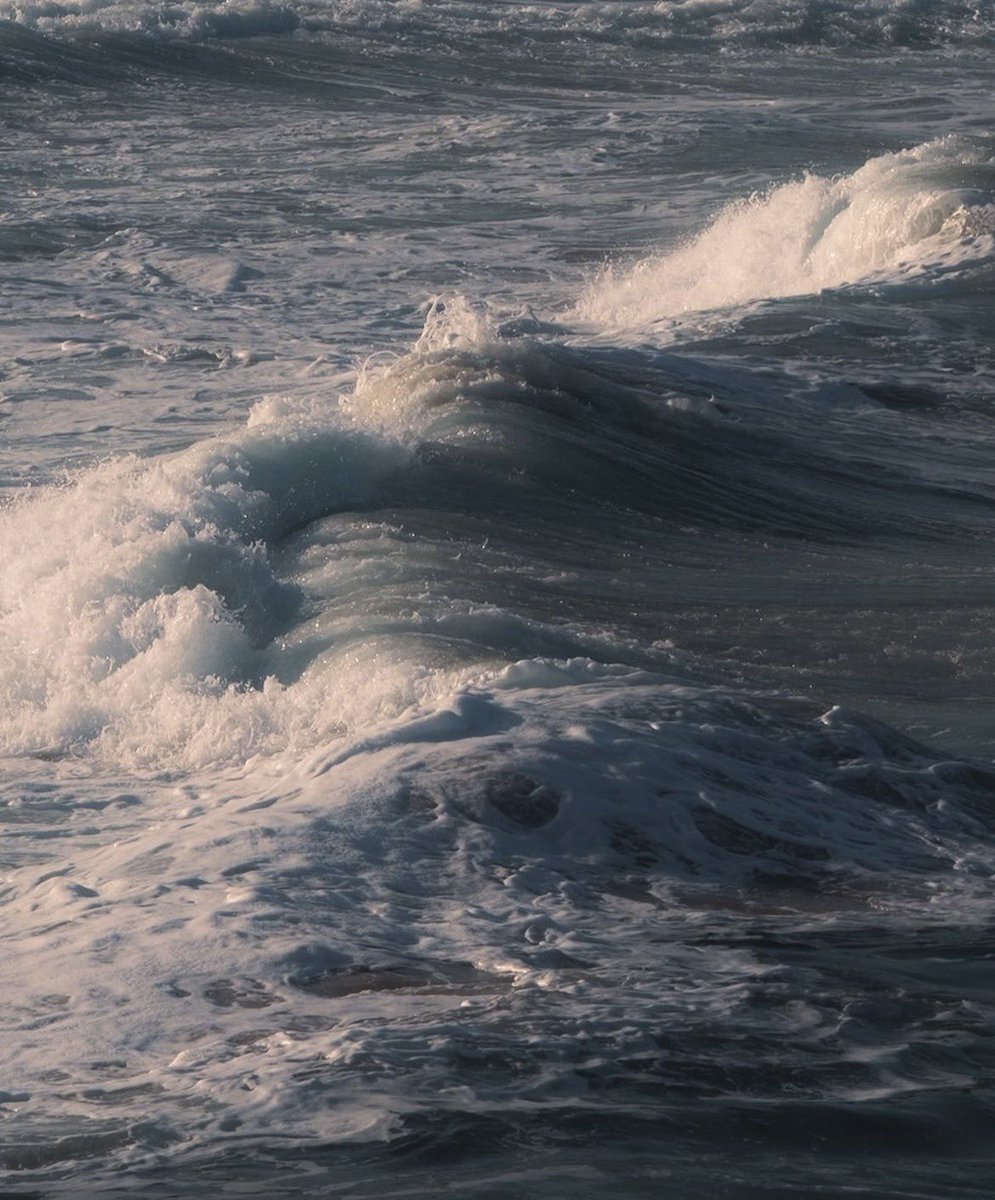 𖥔 ࣪˖ 𝓓𝓪𝔂𝓼𝓲 ⏾*:･ tweet media