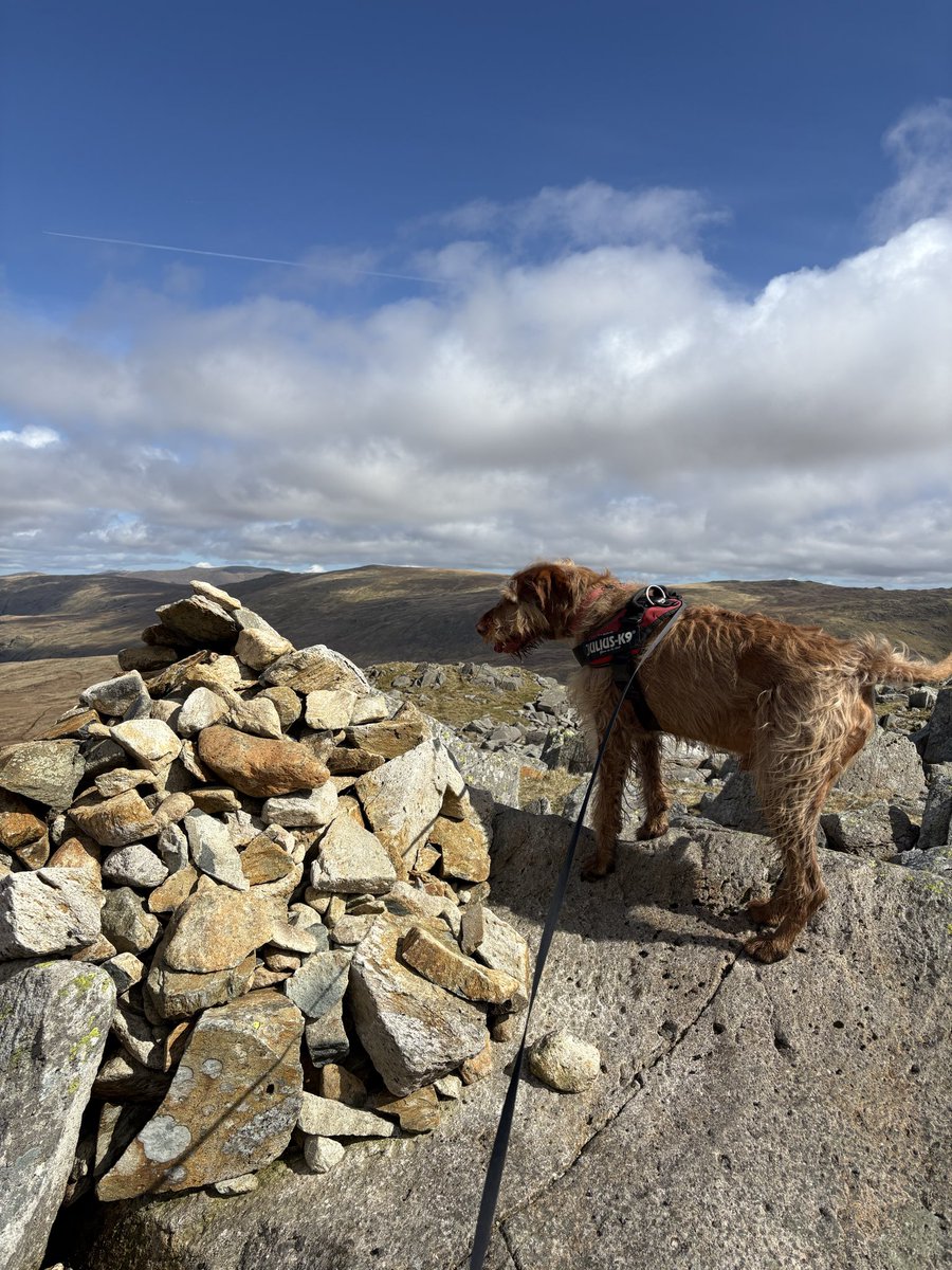 PaulBevan78's tweet photo. Great day in the @lakedistrictnpa with @NVisla . Weather was fantastic and the fells were very busy. Rossett pike to take me to 186/214. @rab_equipment @lowealpine @LakesandCumbria https://t.co/V1MUAPkeRJ