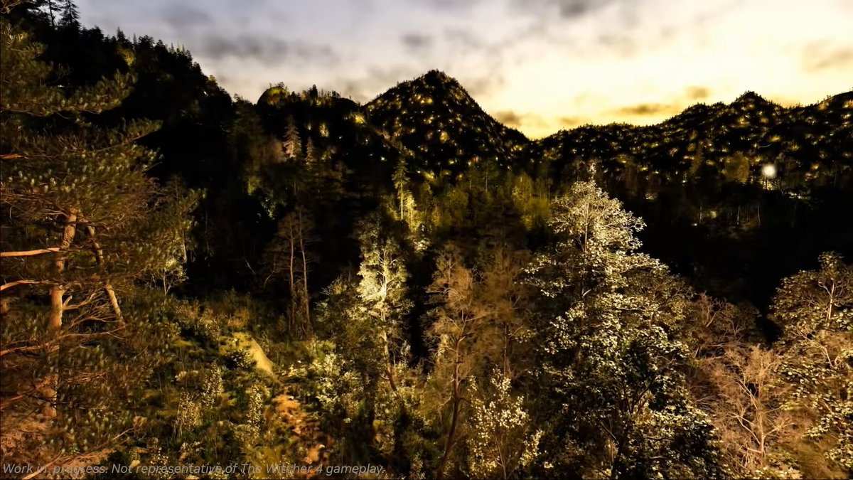 Pirat_Nation 🔴 tweet media