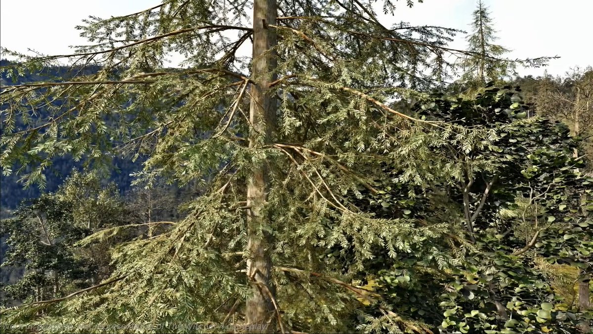 Pirat_Nation 🔴 tweet media