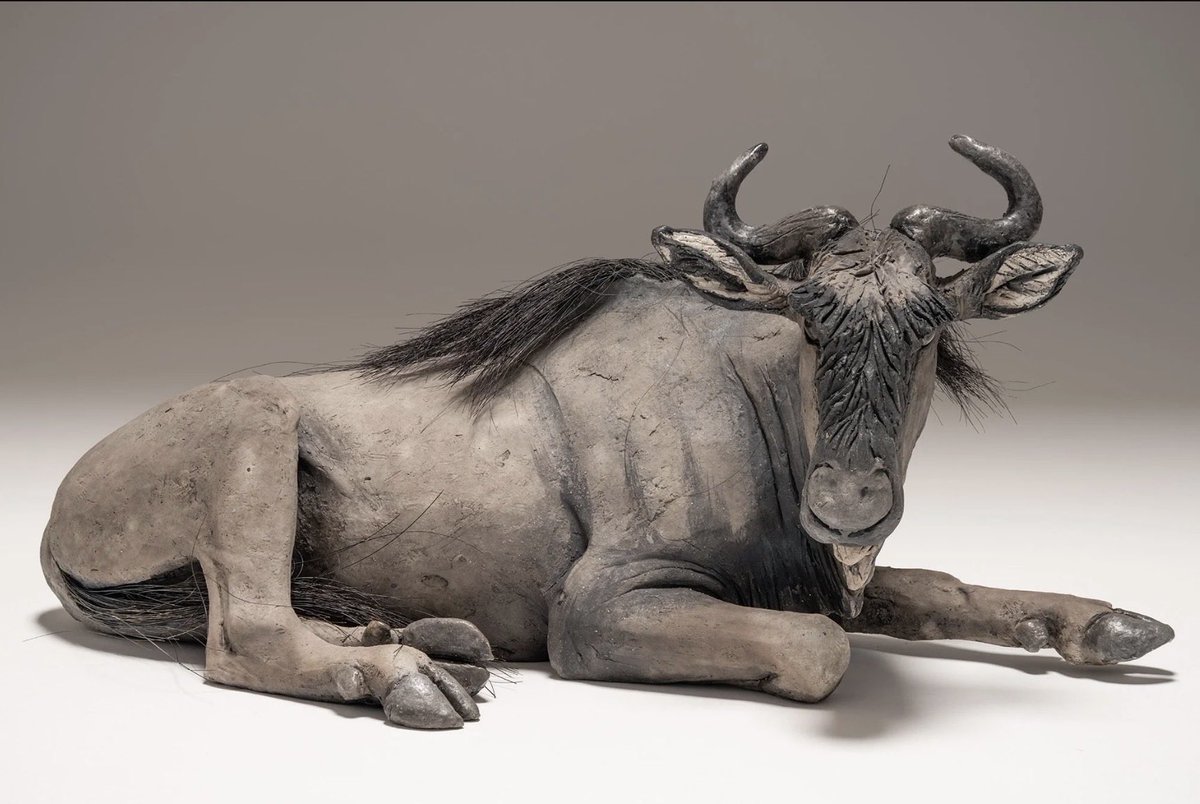 NickMackman's tweet photo. Wildebeest sculpture now available direct from my studio. Inspired by sightings in Tanzania: https://t.co/mYVpdjIuMx #safari #wildebeest https://t.co/M2iEKfRGl0
