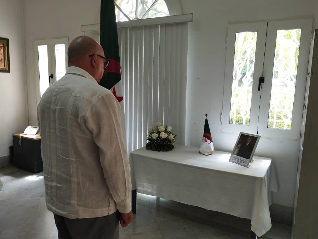 Armando Vergara Bueno tweet media